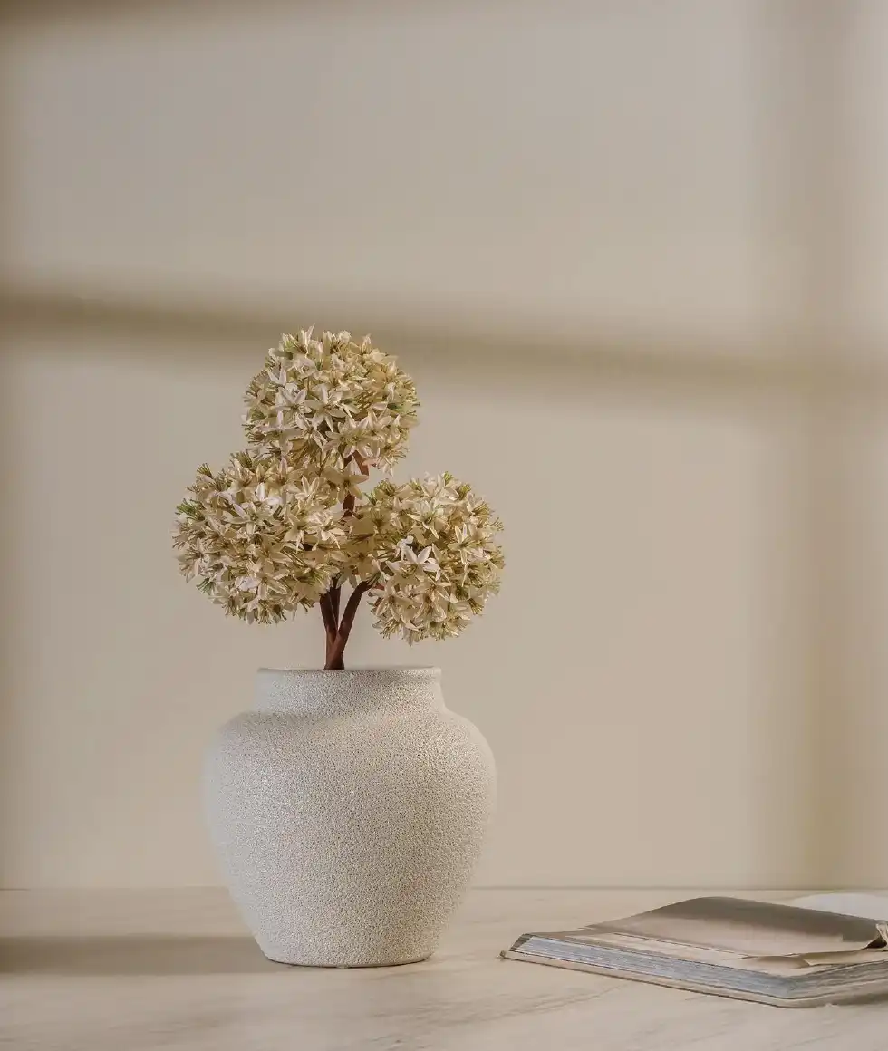 Decorative Accessories